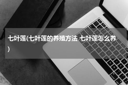 七叶莲(七叶莲的养殖方法 七叶莲怎么养)