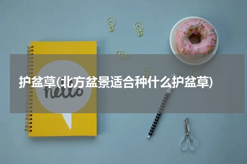 护盆草(北方盆景适合种什么护盆草)
