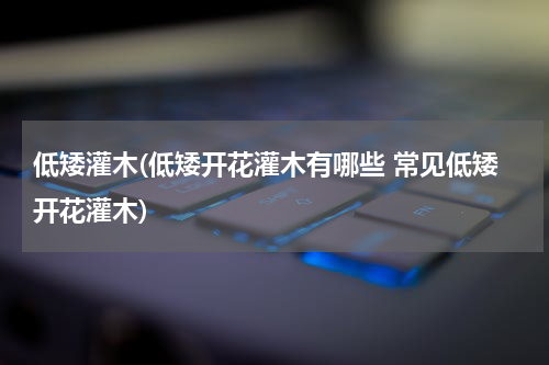 低矮灌木(低矮开花灌木有哪些 常见低矮开花灌木)