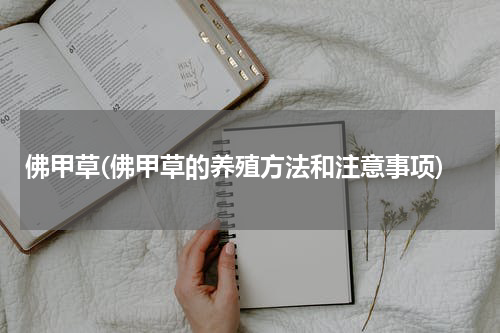 佛甲草(佛甲草的养殖方法和注意事项)