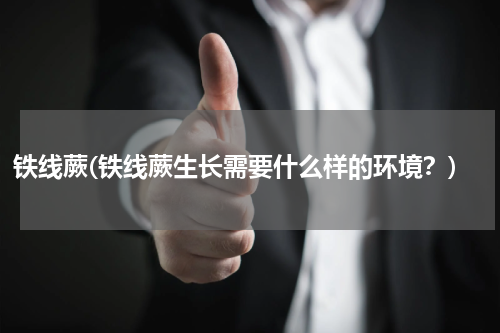 铁线蕨(铁线蕨生长需要什么样的环境？)