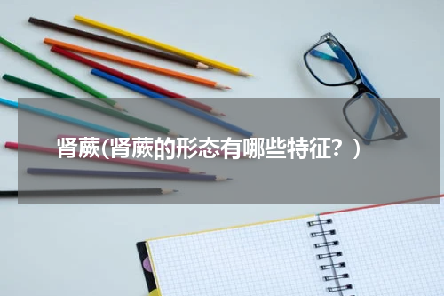 肾蕨(肾蕨的形态有哪些特征？)