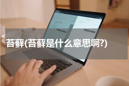 苔藓(苔藓是什么意思啊?)