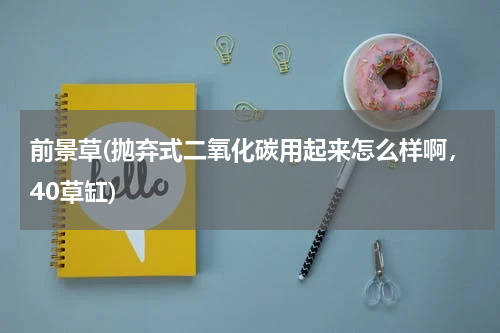 前景草(抛弃式二氧化碳用起来怎么样啊，40草缸)