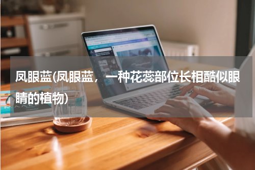 凤眼蓝(凤眼蓝，一种花蕊部位长相酷似眼睛的植物)