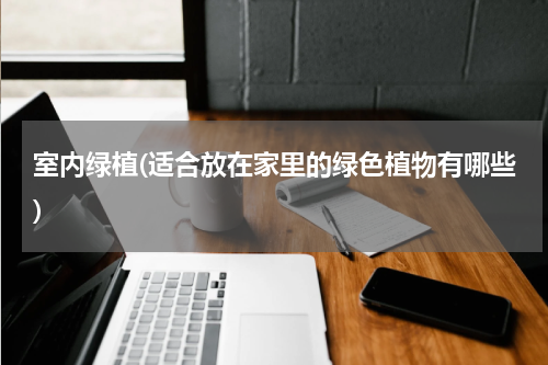 室内绿植(适合放在家里的绿色植物有哪些)