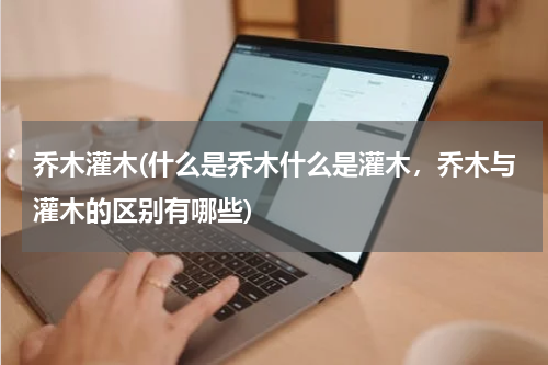 乔木灌木(什么是乔木什么是灌木，乔木与灌木的区别有哪些)