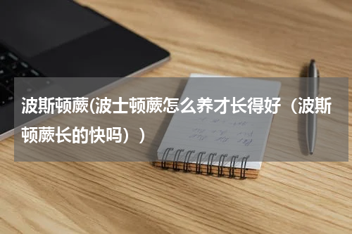 波斯顿蕨(波士顿蕨怎么养才长得好（波斯顿蕨长的快吗）)