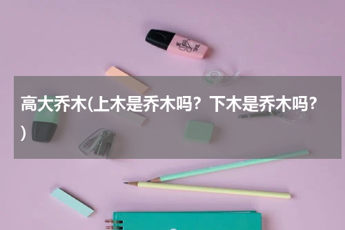 高大乔木(上木是乔木吗？下木是乔木吗？)