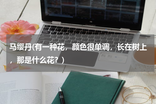 马缨丹(有一种花，颜色很单调，长在树上，那是什么花？)