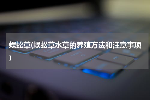 蜈蚣草(蜈蚣草水草的养殖方法和注意事项)