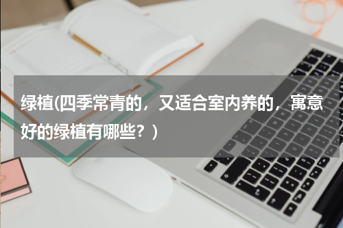 绿植(四季常青的，又适合室内养的，寓意好的绿植有哪些？)