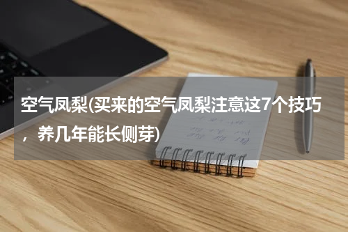 空气凤梨(买来的空气凤梨注意这7个技巧，养几年能长侧芽)