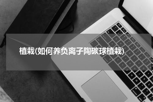 植栽(如何养负离子陶碳球植栽)