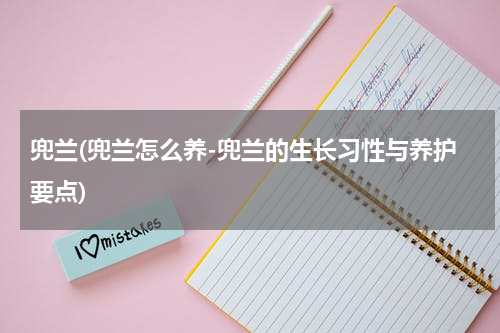 兜兰(兜兰怎么养-兜兰的生长习性与养护要点)