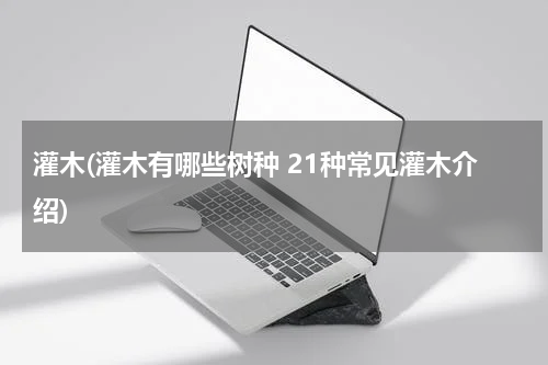 灌木(灌木有哪些树种 21种常见灌木介绍)