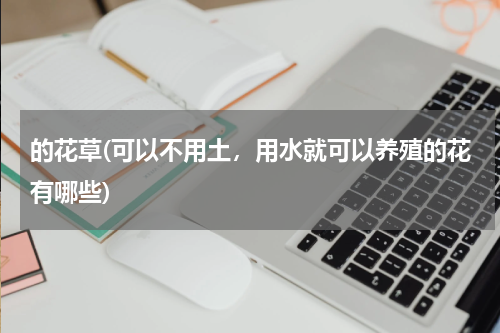 的花草(可以不用土，用水就可以养殖的花有哪些)