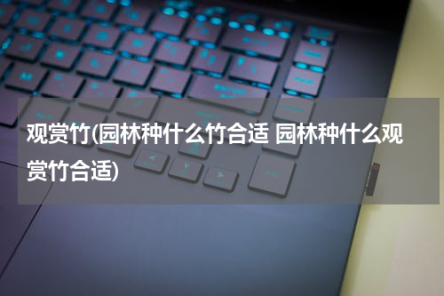 观赏竹(园林种什么竹合适 园林种什么观赏竹合适)
