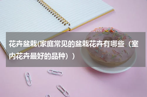 花卉盆栽(家庭常见的盆栽花卉有哪些（室内花卉最好的品种）)