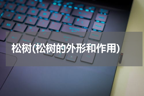 松树(松树的外形和作用)
