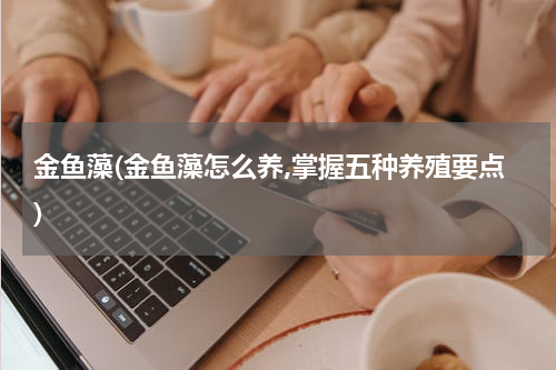 金鱼藻(金鱼藻怎么养,掌握五种养殖要点)