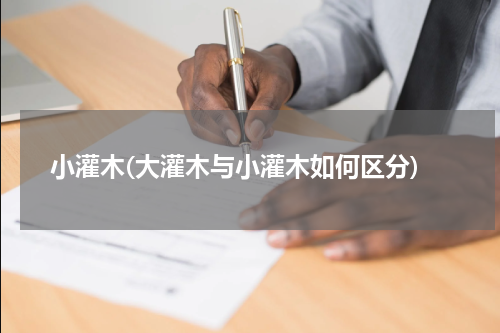 小灌木(大灌木与小灌木如何区分)