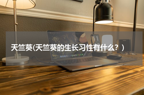 天竺葵(天竺葵的生长习性有什么？)