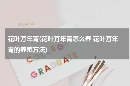 花叶万年青(花叶万年青怎么养 花叶万年青的养殖方法)