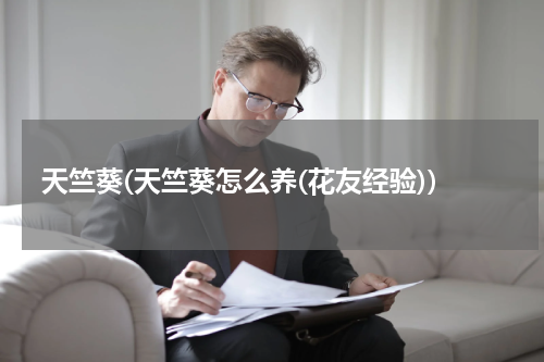 天竺葵(天竺葵怎么养(花友经验))