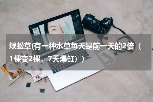 蜈蚣草(有一种水草每天是前一天的2倍（1棵变2棵，7天爆缸）)