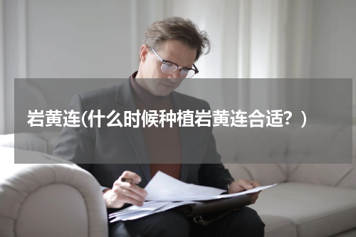 岩黄连(什么时候种植岩黄连合适？)