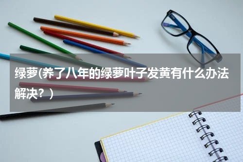 绿萝(养了八年的绿萝叶子发黄有什么办法解决？)