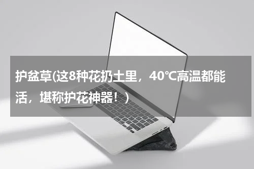 护盆草(这8种花扔土里，40℃高温都能活，堪称护花神器！)