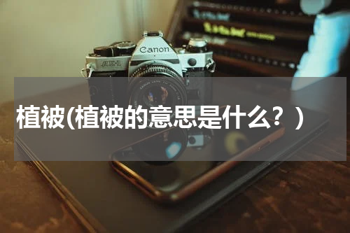 植被(植被的意思是什么？)
