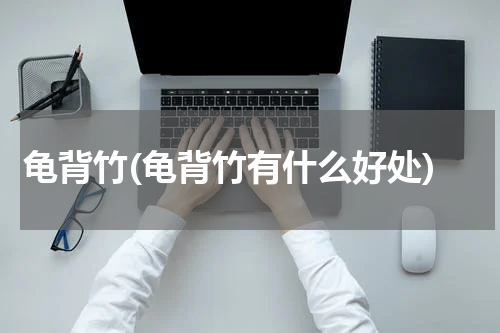 龟背竹(龟背竹有什么好处)