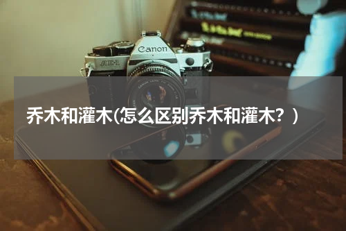 乔木和灌木(怎么区别乔木和灌木？)
