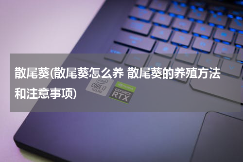 散尾葵(散尾葵怎么养 散尾葵的养殖方法和注意事项)