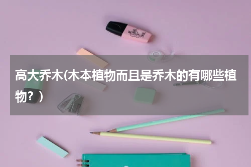 高大乔木(木本植物而且是乔木的有哪些植物？)