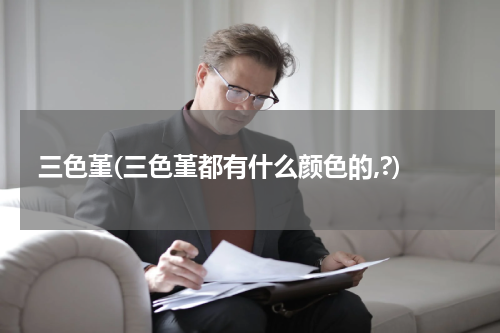 三色堇(三色堇都有什么颜色的,?)