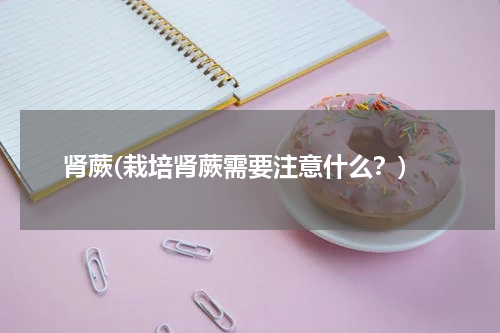 肾蕨(栽培肾蕨需要注意什么？)