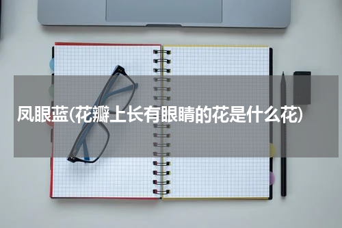 凤眼蓝(花瓣上长有眼睛的花是什么花)