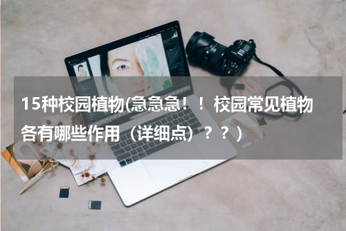 15种校园植物(急急急！！校园常见植物各有哪些作用（详细点）？？)
