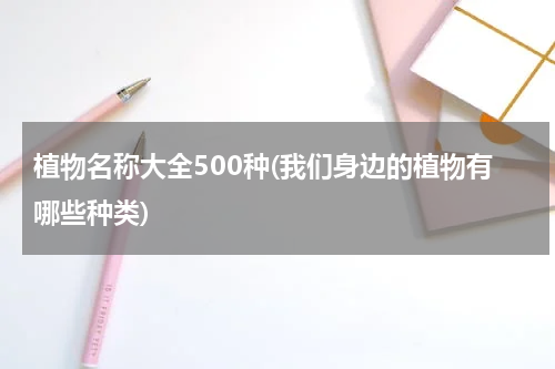 植物名称大全500种(我们身边的植物有哪些种类)