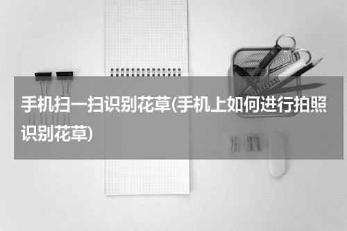 手机扫一扫识别花草(手机上如何进行拍照识别花草)
