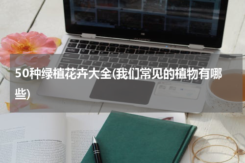 50种绿植花卉大全(我们常见的植物有哪些)