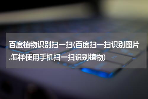 百度植物识别扫一扫(百度扫一扫识别图片,怎样使用手机扫一扫识别植物)
