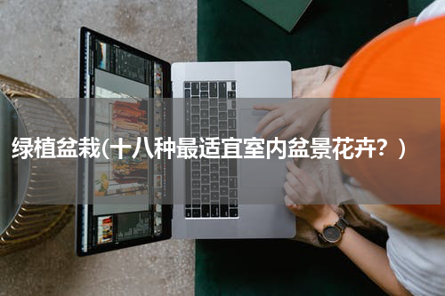 绿植盆栽(十八种最适宜室内盆景花卉？)