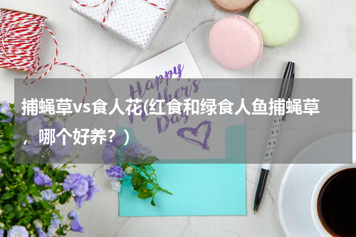 捕蝇草vs食人花(红食和绿食人鱼捕蝇草，哪个好养？)