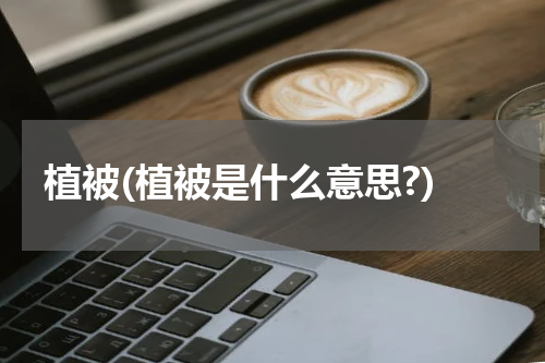 植被(植被是什么意思?)