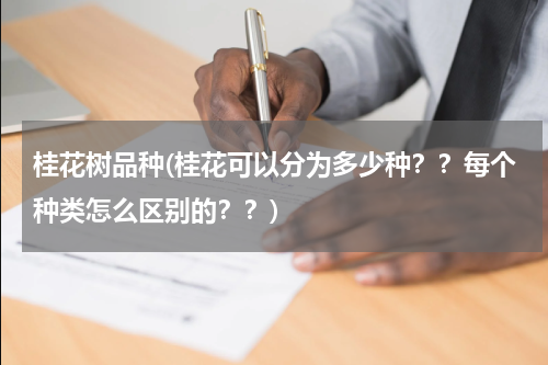桂花树品种(桂花可以分为多少种？？每个种类怎么区别的？？)